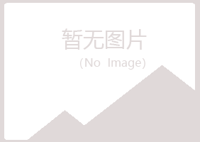 白银平川涟漪工程有限公司